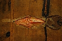 GAM - LINGUAGGIO_096